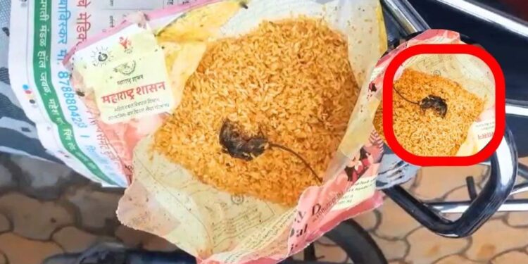 धक्कादायक ! मुलांच्या मध्यान्न भोजनामध्ये चक्क मेलेला उंदिर आढळला