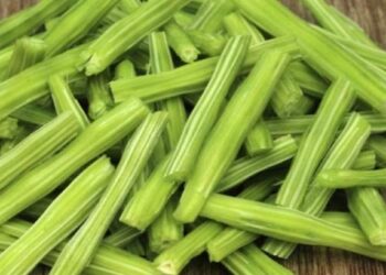 शेवग्याच्या शेंगा खाण्याने आरोग्याला मिळतात बरेच फायदे ; एकाच वाचा