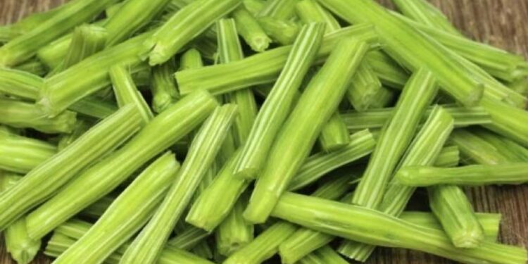 शेवग्याच्या शेंगा खाण्याने आरोग्याला मिळतात बरेच फायदे ; एकाच वाचा