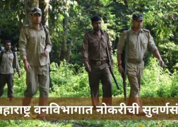 महाराष्ट्र वनविभागात नोकरीची सुवर्णसंधी.. महिन्याला ५० हजारापर्यंतचा पगार मिळेल