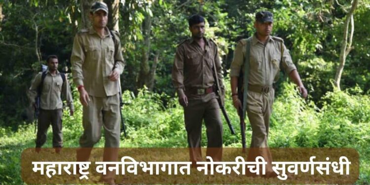 महाराष्ट्र वनविभागात नोकरीची सुवर्णसंधी.. महिन्याला ५० हजारापर्यंतचा पगार मिळेल