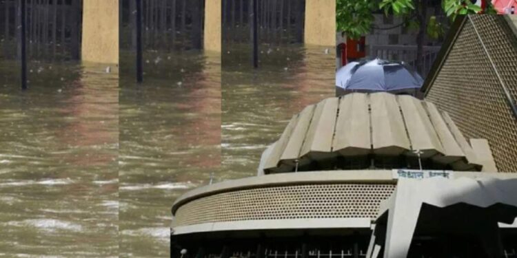 मुंबईत कोसळधार! विधानसभेचे आजचे कामकाज स्थगित, शाळांना सुट्टी