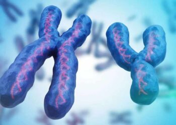 जगात पुरुष जन्मालाच येणार नाहीत? शास्त्रज्ञांच्या दाव्याने खळबळ, वाचा काय आहे?