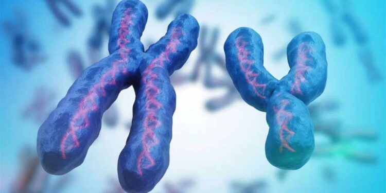 जगात पुरुष जन्मालाच येणार नाहीत? शास्त्रज्ञांच्या दाव्याने खळबळ, वाचा काय आहे?