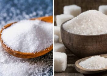 मीठ आणि साखरेबाबत संशोधनातून धक्कादायक माहिती समोर