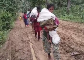 दोन लेकरं तापामुळे गेली, मृतदेह खांद्यावर घेत आई-वडिलांची १५ किलोमीटर पायपीट, महाराष्ट्रातील दुर्दैवी घटना