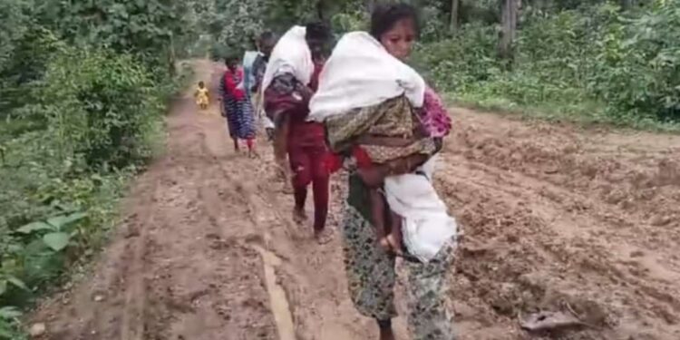 दोन लेकरं तापामुळे गेली, मृतदेह खांद्यावर घेत आई-वडिलांची १५ किलोमीटर पायपीट, महाराष्ट्रातील दुर्दैवी घटना