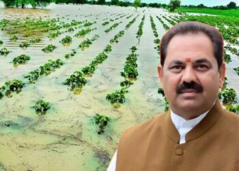 अतिवृष्टीमुळे शेतीपिकांचे नुकसान! सरकारकडून २३७ कोटींचा निधी वितरीत करण्यास मंजुरी