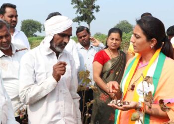 प्रचाराचा ताफा घेऊन रोहिणी खडसे पोहचल्या शेताच्या बांधावर