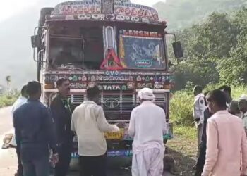 नंदुरबारमध्ये भरधाव ट्रकने 100 हून अधिक मेंढ्याना चिरडले