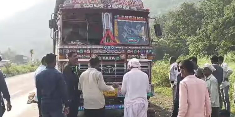 नंदुरबारमध्ये भरधाव ट्रकने 100 हून अधिक मेंढ्याना चिरडले