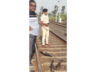 वरणगाव जवळील रेल्वे रुळावर आढळल्या तीन रायफली