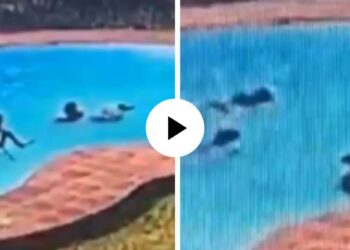 तीन मैत्रिणींना एकाचे वेळी मृत्यूने घेरले; घटनेचा थरकाप उडवणारा Video Viral