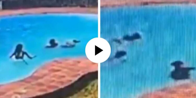 तीन मैत्रिणींना एकाचे वेळी मृत्यूने घेरले; घटनेचा थरकाप उडवणारा Video Viral