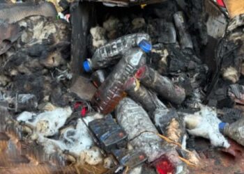 मेडिकलने भरलेला ट्रक पेटविण्याची प्रयत्न, जळगावातील धक्कादायक घटना