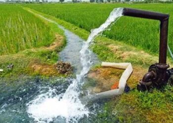 बागायतदारांना रब्बी हंगामासाठी पाणी अर्ज सादर करण्याचे आवाहन; ही आहेत शेवटची तारीख