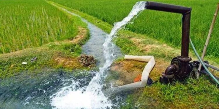 बागायतदारांना रब्बी हंगामासाठी पाणी अर्ज सादर करण्याचे आवाहन; ही आहेत शेवटची तारीख