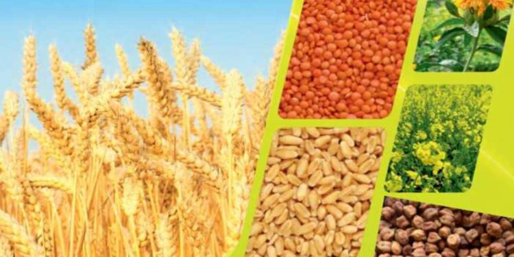 अन्नधान्य, कडधान्य व गळीतधान्य पिकांसाठी राज्यांतर्गत पिकस्पर्धा; ३१ डिसेंबर पर्यंत करता येणार अर्ज