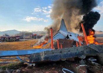 बापरे! लँडिंगवेळी विमानाचा भीषण अपघात; १७९ जणांचा मृत्यू,धक्कादायक VIDEO व्हायरल