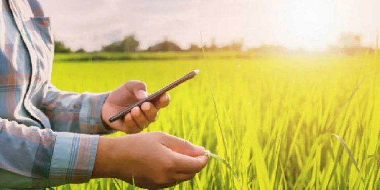 आता नवीन रुपात ई-पीक पाहणी DCS मोबाईल अॅप