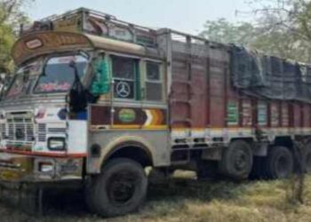 जळगाव शहरात पुन्हा एकदा भीषण अपघात; महिलेचा जागीच मृत्यू