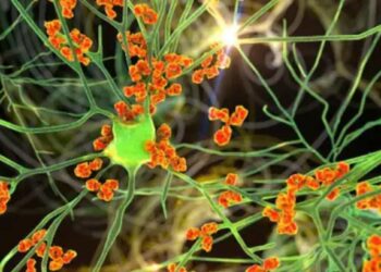 चिंता वाढली : पुण्यात जीबी सिंड्रोममुळे एकाच दिवशी दोघांचा मृत्यू, पालिका प्रशासन अलर्टवर