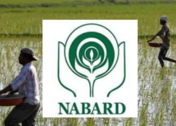 तरुणांसाठी आनंदाची बातमी! नाबार्डमध्ये विनापरीक्षा थेट नोकरीची संधी