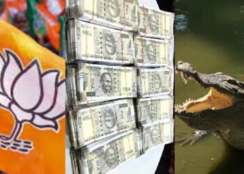 भाजपच्या माजी आमदाराच्या घरावर ITची धाड ; तीन मगरीसह कोट्यवधींची माया जप्त