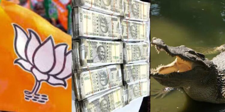 भाजपच्या माजी आमदाराच्या घरावर ITची धाड ; तीन मगरीसह कोट्यवधींची माया जप्त