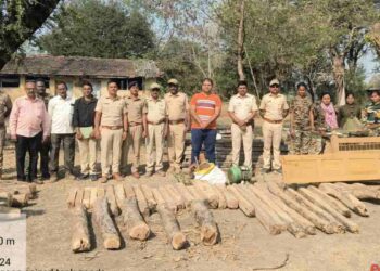 चोपडा वनपरिक्षेत्रात अवैध वृक्षतोडीचा प्रकार उघडकीस
