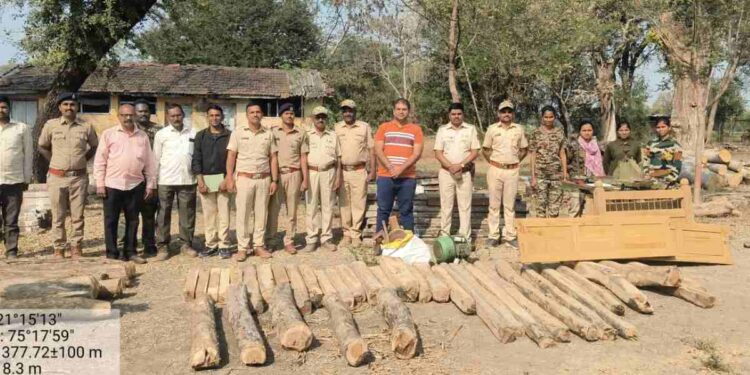 चोपडा वनपरिक्षेत्रात अवैध वृक्षतोडीचा प्रकार उघडकीस