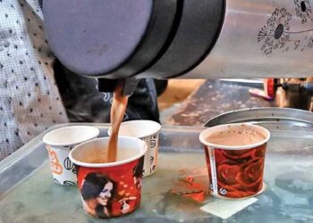 बुलढाण्यामध्ये चहासाठी कागदी आणि प्लास्टिक कप वापरावर बंदी; जिल्हाधिकाऱ्यांचे आदेश