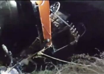 नीलगायींच्या कळपाला घाबरून बैल बिथरले अन् घडलं भयंकर; जामनेर तालुक्यातील घटना