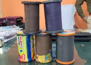 जळगावात नायलॉन मांजाची विक्री करणारे दोन युवक पोलिसांच्या ताब्यात