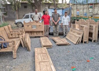 सावदा गावा नजीक अवैध वृक्षतोड प्रकरणात मोठी कारवाई ; लाखोंचा मुद्देमाल जप्त