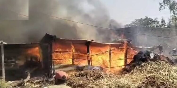 गोठ्याला भीषण आग, दोन म्हशी होरपळल्या ; शेतकऱ्याचे लाखो रुपयांचे नुकसान