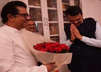 फडणवीसांनी घेतली राज ठाकरेंची भेट; भाजपने मोठी ऑफर दिल्याची चर्चा?