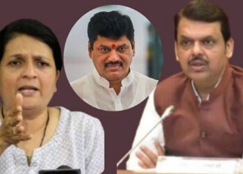 ह्याचे उत्तर मिळाले पाहिजे..! अंजली दमानियांनी कृषी घोटाळ्याचे थेट मुख्यमंत्र्यांना दिले पुरावे