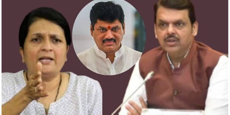 ह्याचे उत्तर मिळाले पाहिजे..! अंजली दमानियांनी कृषी घोटाळ्याचे थेट मुख्यमंत्र्यांना दिले पुरावे