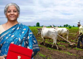 अर्थसंकल्पात शेतकऱ्यांसाठी काय घोषणा? वाचा