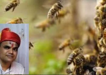 पूजेसाठी होम पेटविताच घडला अनर्थ; अमळनेरातील दुर्दैवी घटना