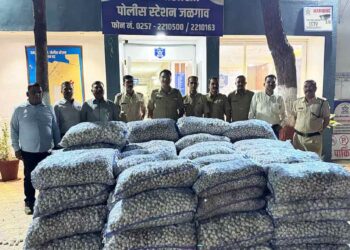 जळगाव पोलिसांची मोठी कारवाई: नागपूरहून चोरलेल्या लसणाच्या गोण्या जप्त