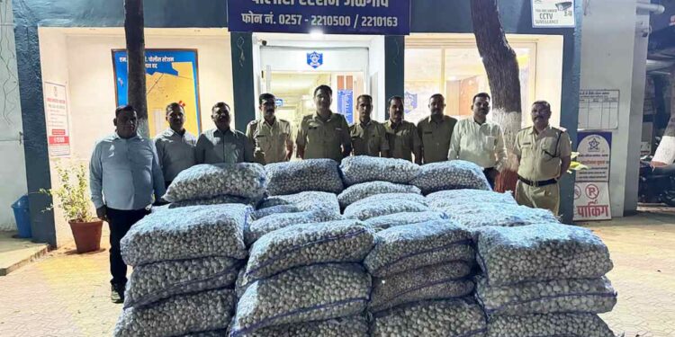 जळगाव पोलिसांची मोठी कारवाई: नागपूरहून चोरलेल्या लसणाच्या गोण्या जप्त