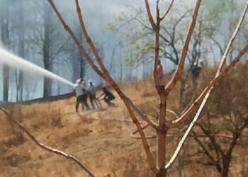 जळगाव विद्यापीठाच्या मागील बाजूस असलेल्या जंगलात लागली आग