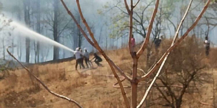 जळगाव विद्यापीठाच्या मागील बाजूस असलेल्या जंगलात लागली आग