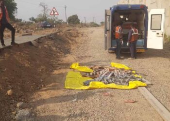 गाढ झोपेत असलेल्या तीन तरुणांना अज्ञान वाहनाने चिरडले ; जळगाव तालुक्यातील घटना