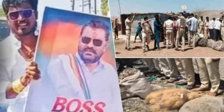 खोक्या भाईच्या घरात सापडल्या धक्कादायक गोष्टी; पोलीस आणि वनविभागाचे अधिकारी चक्रावले