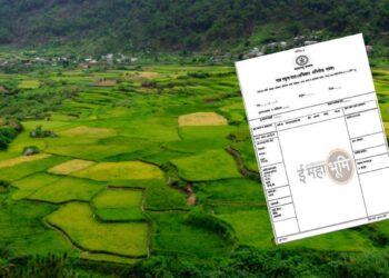 महायुती सरकारचा ७/१२ उताऱ्याबाबत महत्वाचा निर्णय ; शेतकऱ्यांना होणार असा फायदा