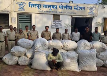 शिरपूरमध्ये तब्बल ३३ लाखाचा गांजाचा साठा जप्त ; एकास अटक