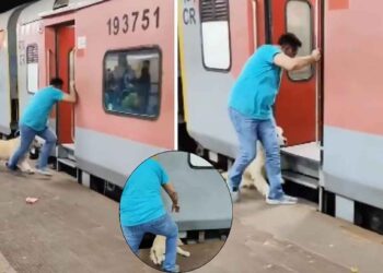 कुत्र्यासह धावत्या ट्रेनमध्ये चढण्याचा प्रयत्न, पण पुढे घडलं ते धक्कादायकच, पहा व्हिडीओ